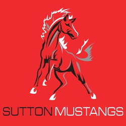 three color mustang mascot tee shirt design with mustang created from colored shapes