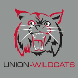 three color wildcat mascot tee shirt designs with wildcat created from multicolor shapes.