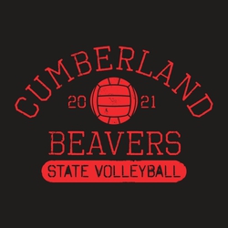 One color distressed state volleyball t-shirt design.