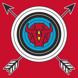 four color archery tee shirt design with crossed arrows behind target