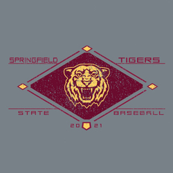 two color state baseball t-shirt design with mascot and baselines