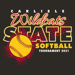 three color state softball tee shirt design with ball and background texture