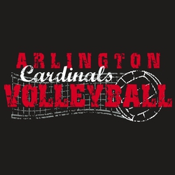 Three color volleyball tee shirt design with ball and net. distressed lettering and design.