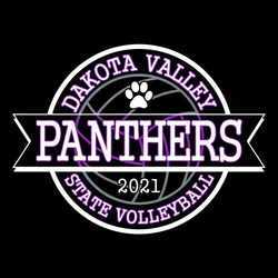 three color state volleyball t-shirt design with volleyball and banner