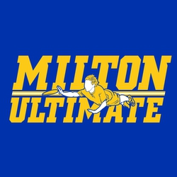 two color ultimate tee shirt design with lettering above and below single player diving for disc.