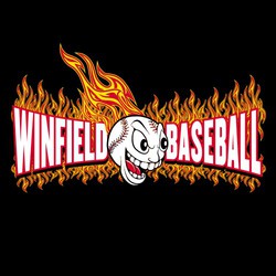 three color baseball tee shirt design with flaming, grinning baseball.  Team name and word baseball behind ball with flaming background.