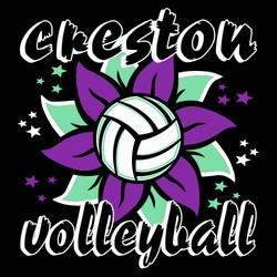 Three color tee shirt design with volleyball in front of flower petals and stars.  Team name above art and word volleyball below design.