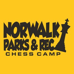 one color chess tee shirt design.  Large black King tipping to the side with thick loose pointy lettering. Park and Rec Chess Camp.