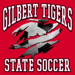 three color state soccer tee shirt design with photo of soccer ball ripping through the shirt.