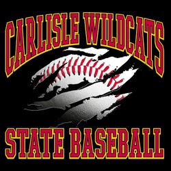 three color state baseball tee shirt design with baseball showing through a simulated rip.  Block arched letter in above and straight block lettering below art.