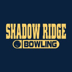 one color bowling tee shirt design with bowling ball and word bowling in knockout oval.  Team name in block lettering above oval.