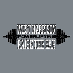 two color weightlifting tee shirt design with distressed weights and word "powerlifting" as the bar.  "Raise the Bar"