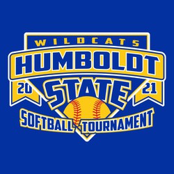 three color state softball tee shirt design with layout using homeplate and draped ribbon.  Softball in lower corner of home plate.