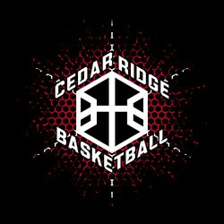 two color basketball tee shirt design with stylized basketball against honeycomb background. Arched lettering above and below ball.