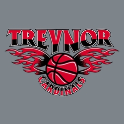 three color basketball tee shirt design with flaming wings on ball.  Lettering fit to path of wings at top and circles the ball on the bottom.