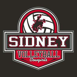 three color volleyball tee shirt design with crest layout.  Half volleyball at the top, rectangle with team name inside ending at a point with the word volleyball and mascot name in script.