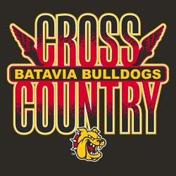 three color cross country tee shirt design with lettering "CROSS COUNTRY" stacked over rectangular frame.  Team name and mascot name in frame.   Winged feet on each side of lettering. Mascot below art