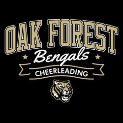 two color tee shirt design with large arched block team name above mascot name in script that is between two stars.  Cheerleading banner below that with mascot at the bottom.