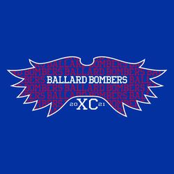 two color cross country tee shirt design with team and mascot name repeating inside winged foot.  Centered team and mascot name highlighted in contrasting color.  XC and year below wings.