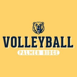 two color volleyball tee shirt design with mascot above word "volleyball".  School name in reverse lettering inside oval at the bottom.