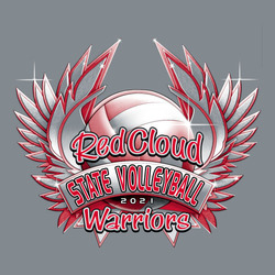 four color volleyball tee shirt design with winged shaded volleyball. Banner with State Volleyball.  Script team name on ball, mascot name below ball and banner.