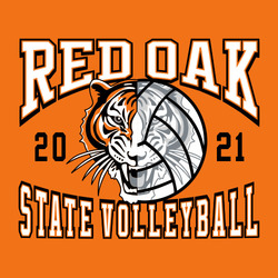 four color state volleyball tee shirt design with half volleyball and half mascot centered.  shadow image of mascot in volleyball.  block arched lettering above and below mascot.