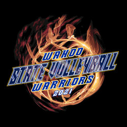 four color state volleyball tee shirt design with volleyball made with flames.  Diagonal text with State Vollyeball, School name and mascot name.