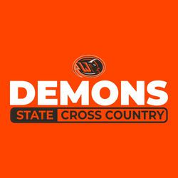 two color state cross country tee shirt design with mascot centered at the top, mascot name in large san serif lettering, and state cross country in rectangle at the bottom.  Word state is reversed.
