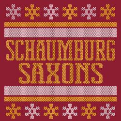 two color ugly sweater design with snowflakes, bars and large school and mascot name.