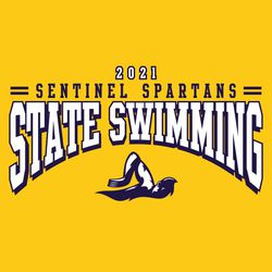 two color state swimming t-shirt design.  STATE SWIMMING bridge ached over swimmer doing the freestyle.  Smaller year, team name and macot name at the top centered between two lines on each side.
