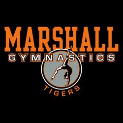 three color gymnastic t-shirt design with large school name on top,  word gymnastics below and girl balanced on hands doing splits placed in circle. Mascot name in circle text at the bottom.