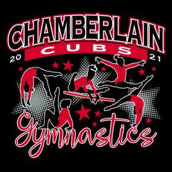 three color gymnastics t-shirt design with various gymanst images placed over stars in background.  Arched lettering and banner at the top, script word "Gymnastics" at the bottom.