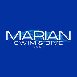 two color swimming and diving tee shirt design.  Team name stacked over Swim 7 Dive printed over sylized waves in the background.