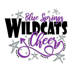 three color cheerleading tee shirt design. School name, mascot name (bold) and word Cheer stacked and centered framed by stars and winding arrow.