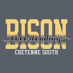 Three color cheeleading tee shirt design with large mascot name centered and knocked out with a distressed pattern.  Word Cheerleading goes through lower third of mascot name. Block school name.