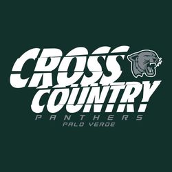 two color cross country t-shirt design.  Slashed, stacked lettering "cross country". Logo on on side. Team name at bottom.