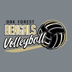 three color volleyball t-shirt design.  Black volleyball with three colors of highlights on panels.  Underline below ball, with word "Volleyball" in script above line.  School name and mascot name.