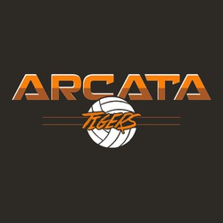 three color volleyball t-shirt design. Large team name at the top. Split in half by colors with a highlight. Two lines through volleyball.  Mascot name in distressed style font.