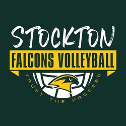 two color volleyball t-shirt design.  Distressed hand style font with team name over banner and volleyball.  Mascot name and word volleyball in block letter in banner. Mascot over volleyball.