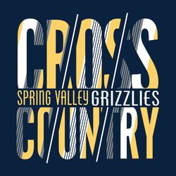 three color cross country t-shirt design.  Large words "Cross Country" stacked and slashed with diagonal lines of color.  School & mascot name centered between words. Name & mascot in different colors