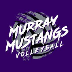 three color volleyball t-shirt design.  Brush effect volleyball with brush style team name, mascot name and word volleyball stacked over ball.  Diagonally skewed text.