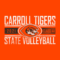 two color state volleyball t-shirt design.  Straight block lettering with team and mascot name at top, State Volleyball at bottom.  Two thin stripes above & below thick stripe. Mascot centered in oval