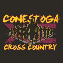 three color cross country t-shirt design.  Eleven runners with a large runner in the middle closest placed over large distressed XC and triangular shapes.  Destessed team name at top & "cross country"