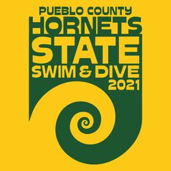 state swimming t-shirt design with large swirl.  Words "State swim & dive" reversed in solid top of wave.  School and mascot name stacked at top of art.
