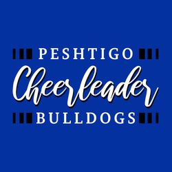 two color cheerleading t-shirt design.  Cheerleading large in script lettering with school name above and mascot name below framed with rectangles.