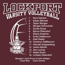 one color volleyball back print.  Mascot placed over fading volleyball on the left.  Roster on the right.   School name and Varsity Volleyball in large block letters arched at the top.