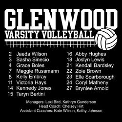 one color volleyball back print t-shirt design.  Large team name in black letters at thee top. Varsity Volleyball over net and ball. Roster infomation below that.