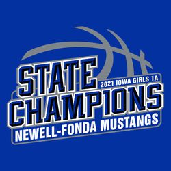 three color state basketball champion design.  Basketball seams in background with large block 3-D lettering "State Champions".  Team and macot name at bottom in frame. .