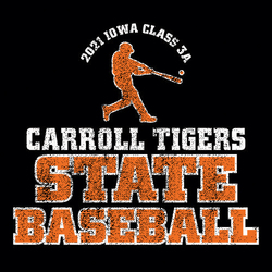 two color state baseball t-shirt art.  Batter swinging at top of design.  Class, state and year in circle text above batter.  Team and mascot name, large word STATE and large word Baseball stacked.