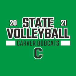 two color state volleyball t-shirt design.  State Volleyball in block style lettering large and stacked.   Team information and logo stacked below.